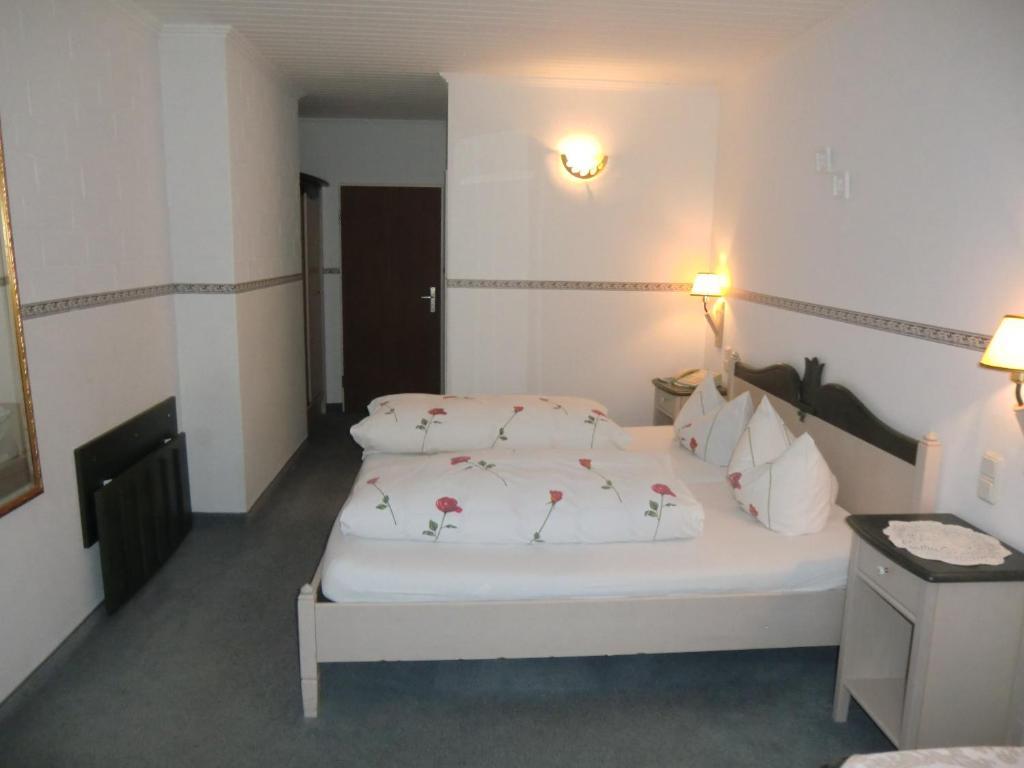 Hotel Schlossgarten Gladenbach Quarto foto
